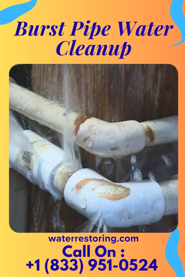 Burst Pipe Water Cleanup in French Island, WI