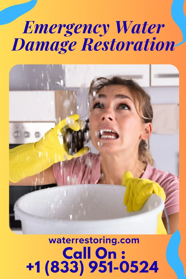 Emergency Water Damage Restoration in French Island, WI