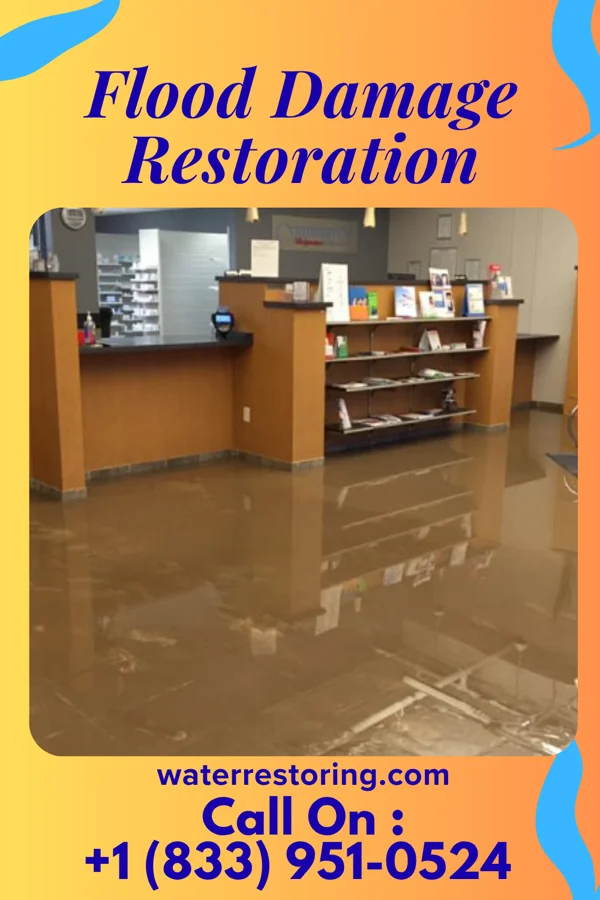 Flood Damage Restoration in French Island, WI