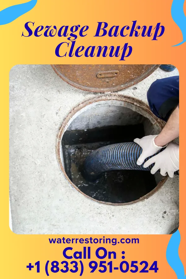 Sewage Backup Cleanup in French Island, WI