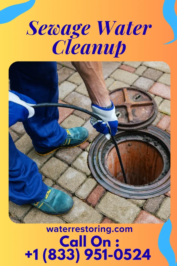 Sewage Water Cleanup in French Island, WI